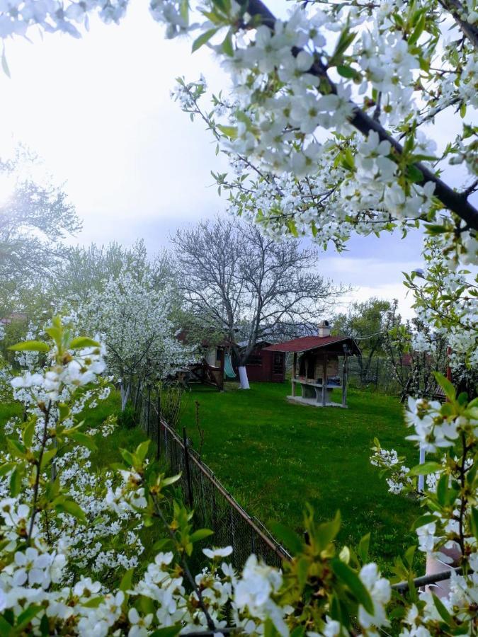 Hotel Casa Stely Rîşnov Exteriér fotografie